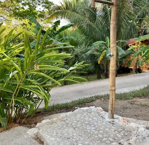 Tarantela Houses, Casa Guadua Sámara